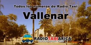 Radio taxi en Vallenar